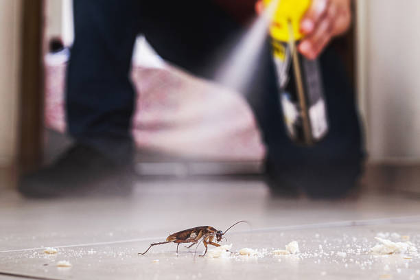 Pest Prevention Services in Craigsville, WV